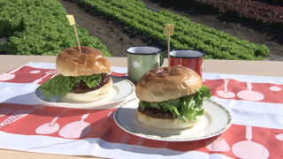 照り焼きレタスバーガー